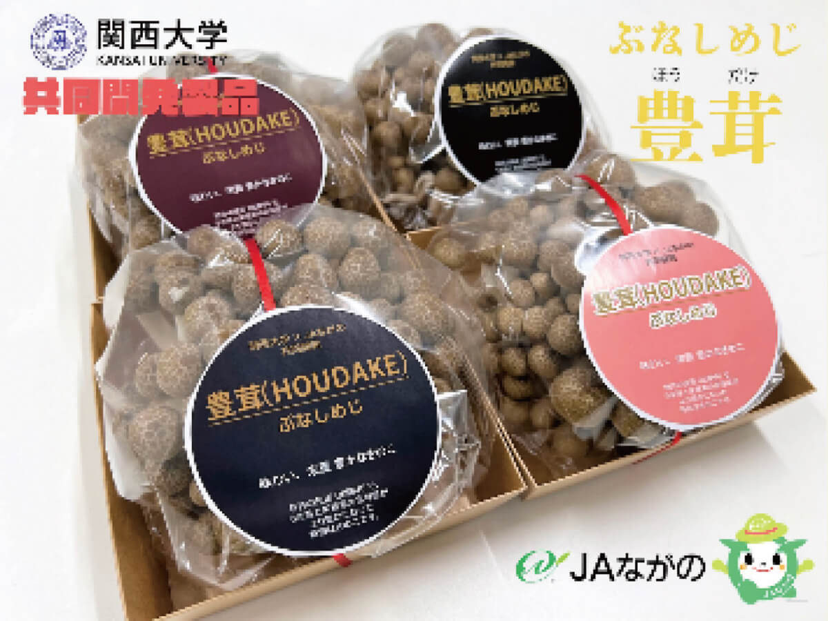 関西大学と共同開発したぶなしめじ「豊茸」の試験販売開始