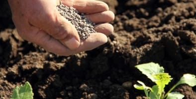 「信州の環境にやさしい農産物認証制度」への取り組み