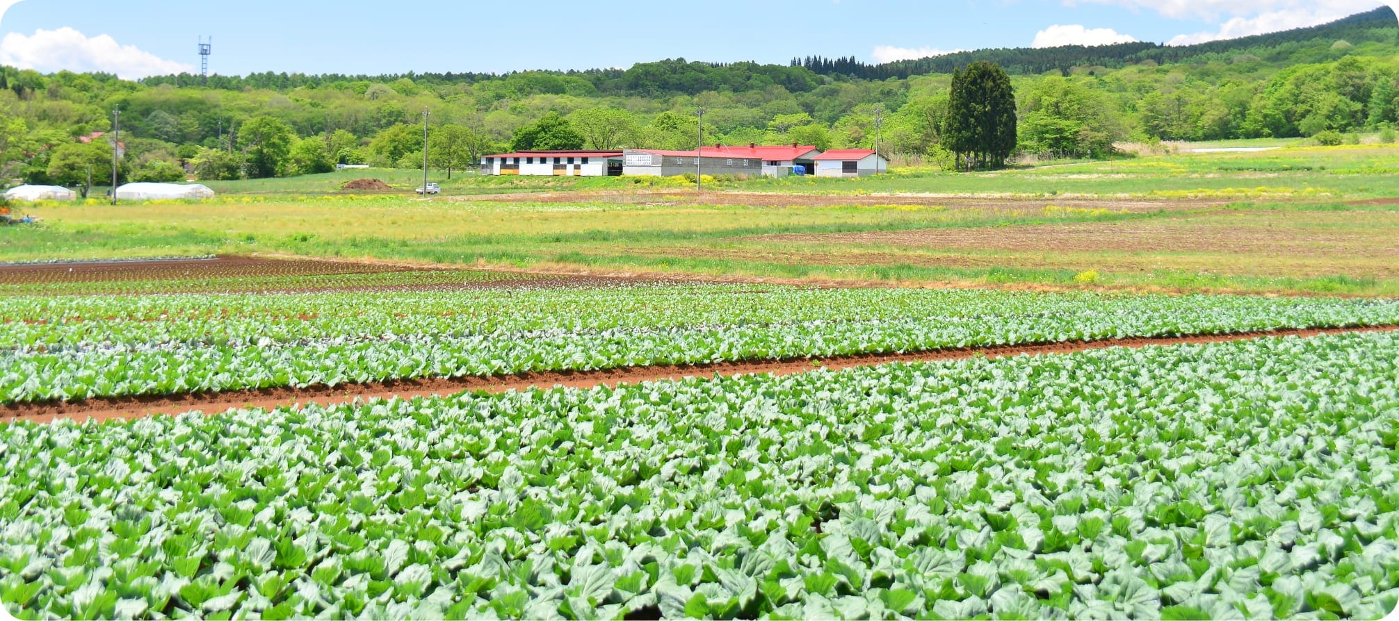 JAながのってなに？