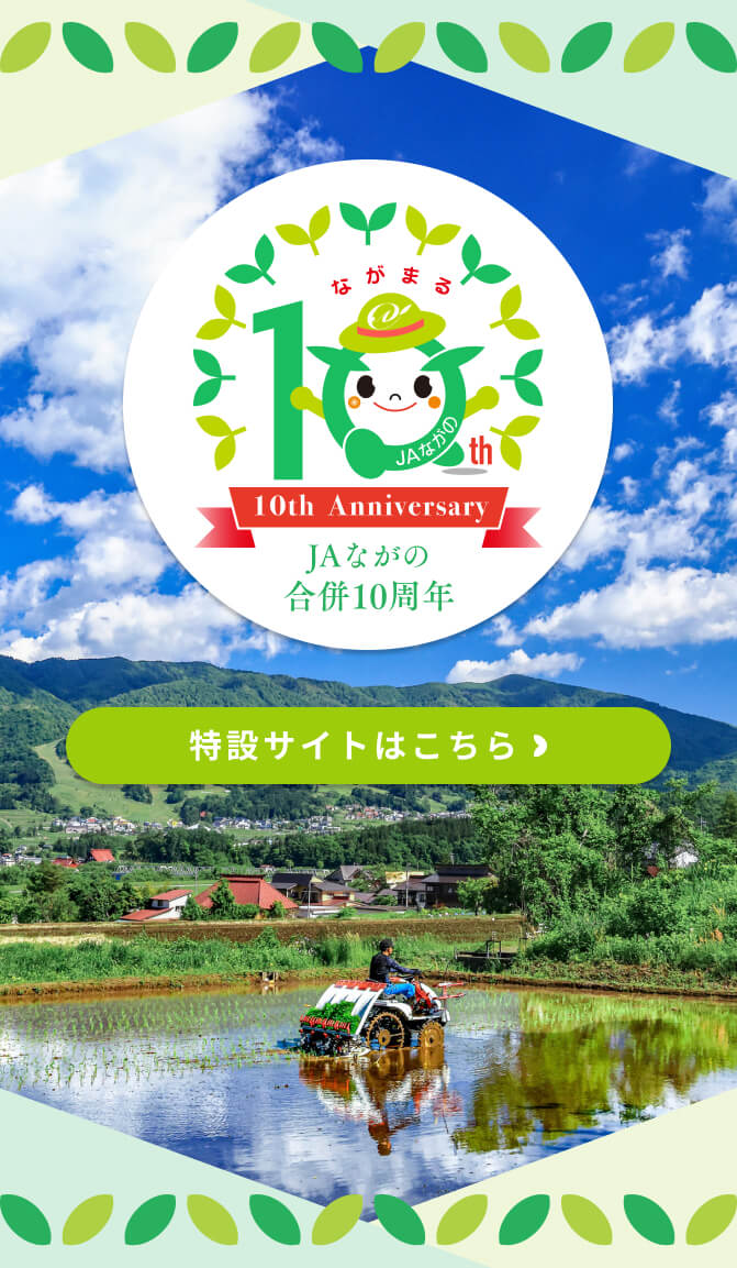 10周年特設サイト