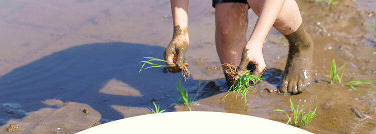 JAながのの食農教育事業