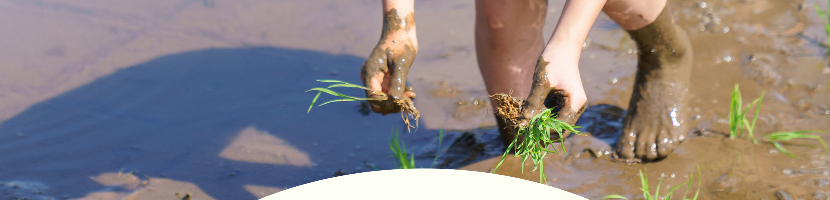 JAながのの食農教育事業