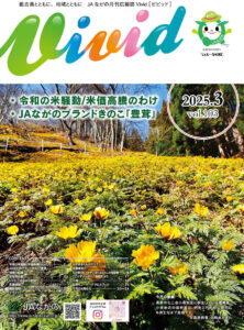 Vivid2503