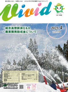 Vivid2504