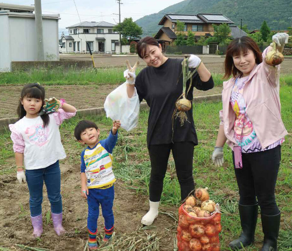 たまねぎ収穫体験の様子