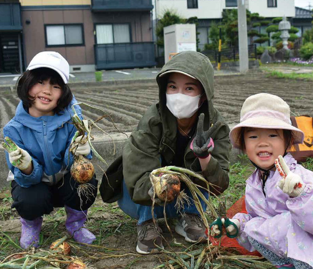 たまねぎ収穫体験の様子