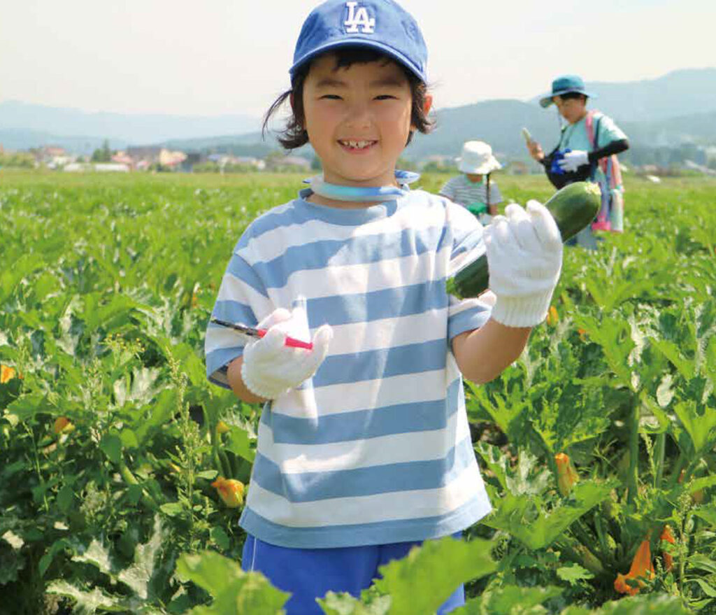 ズッキーニ収穫体験の様子