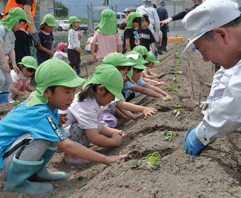 定植を行う園児ら