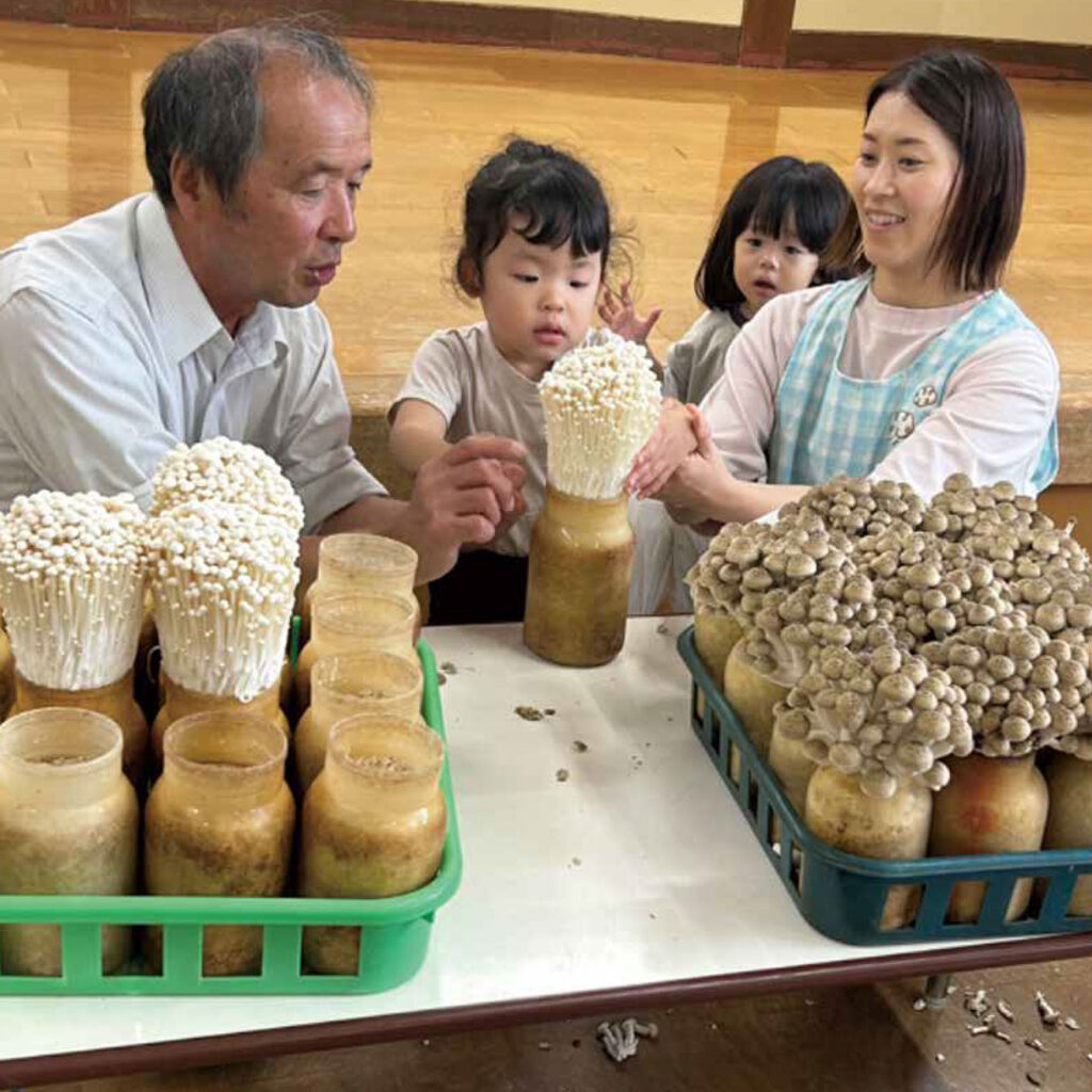 実際にきのこの収穫をする児童ら