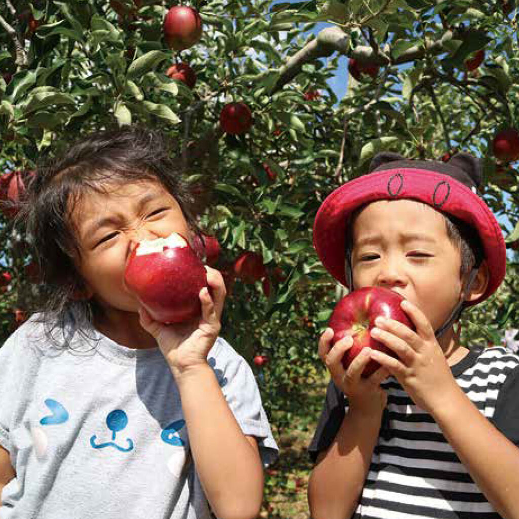 りんご丸かじり！！