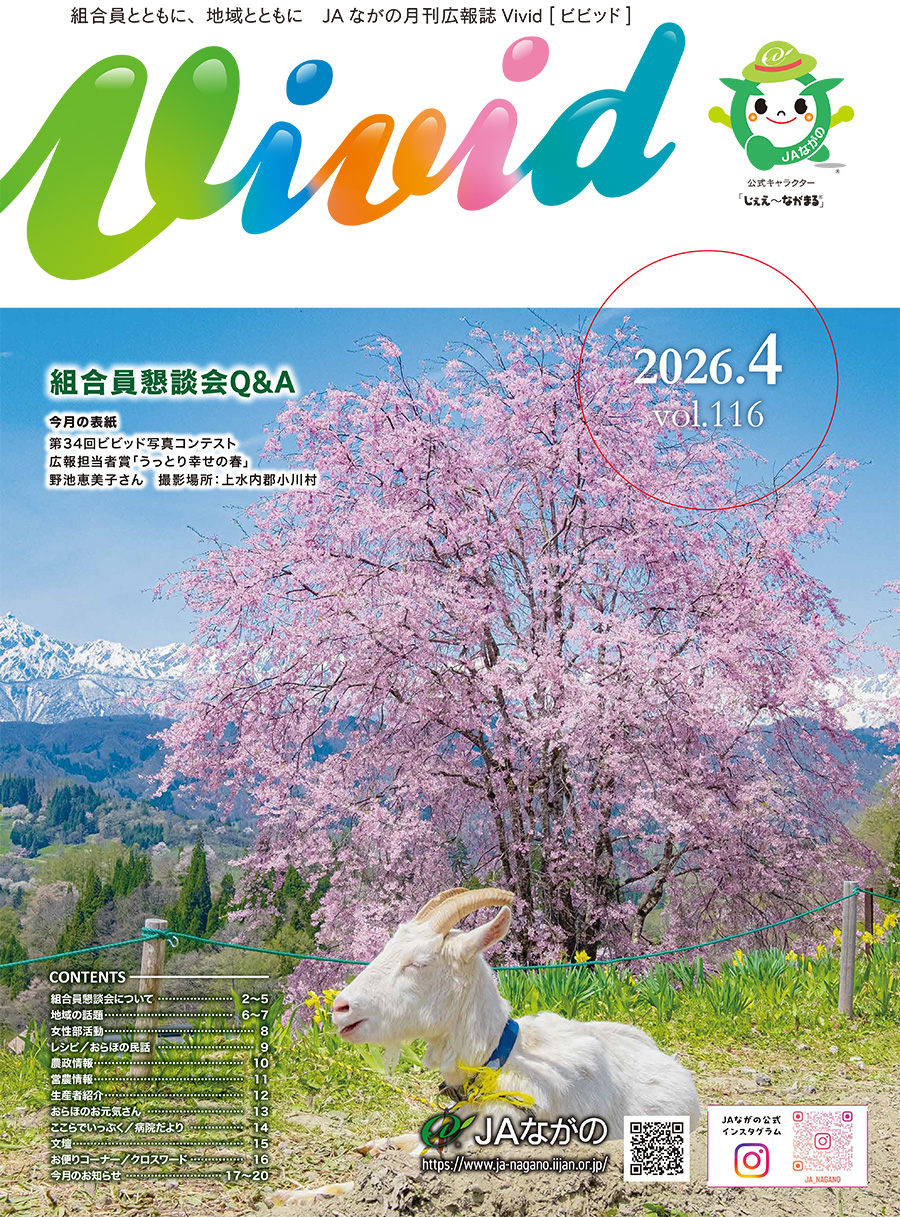 Vivid2604
